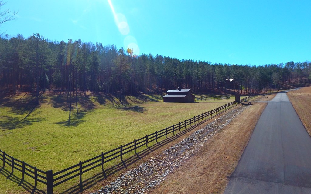 Lot 267 The Cove At Thirteen Hundred #267, BLAIRSVILLE, Georgia image 9