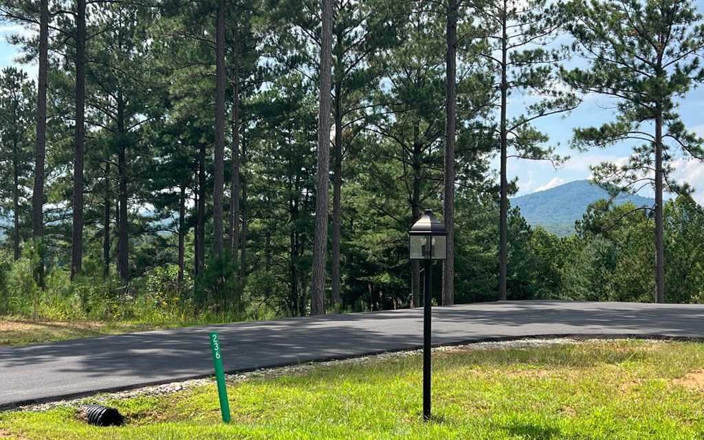 Lot 267 The Cove At Thirteen Hundred #267, BLAIRSVILLE, Georgia image 24