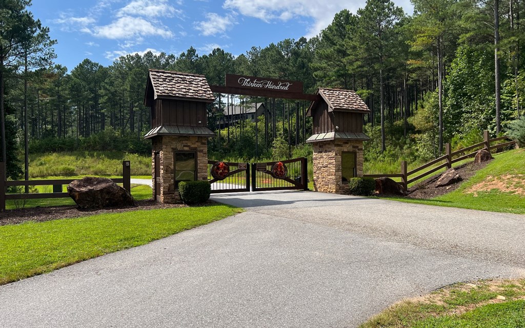 Lot 267 The Cove At Thirteen Hundred #267, BLAIRSVILLE, Georgia image 20