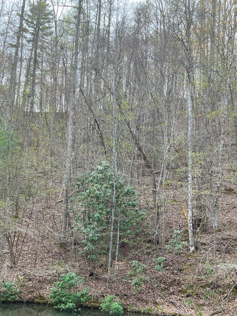 Lot 13 Hidden Lake Road #13, TOPTON, North Carolina image 1