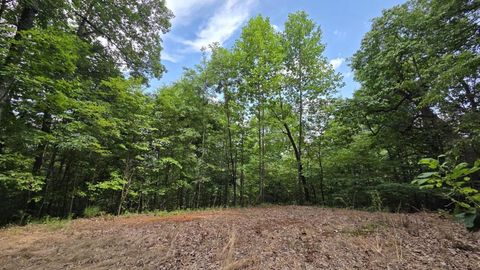 Vacant Land For Sale - 00 Talon Drive #75<br/> MURPHY, NC 28906