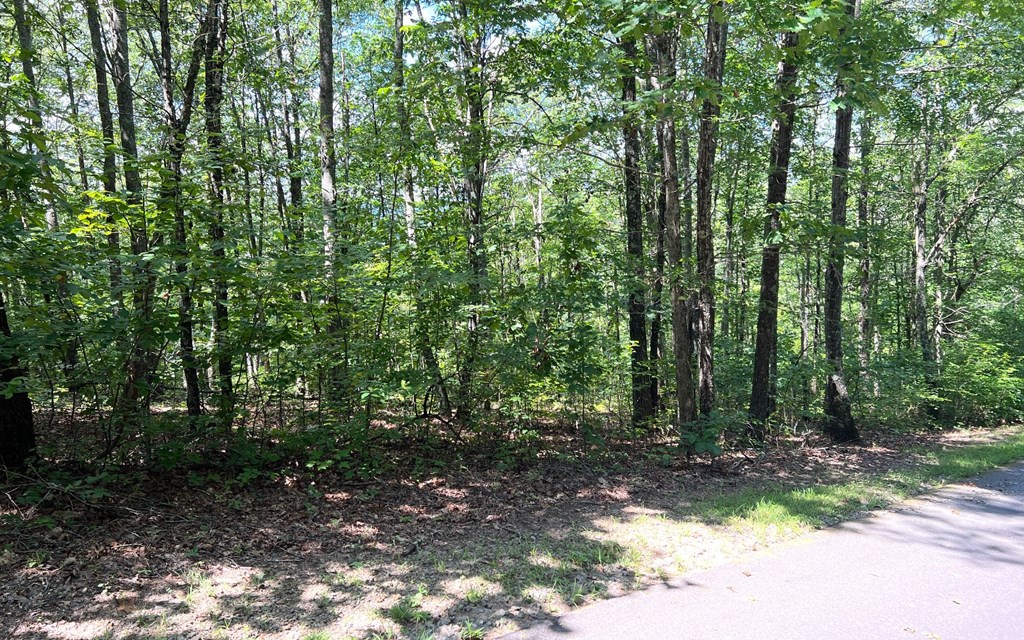 Lot 17A Trillium Heights #17A, HAYESVILLE, North Carolina image 14