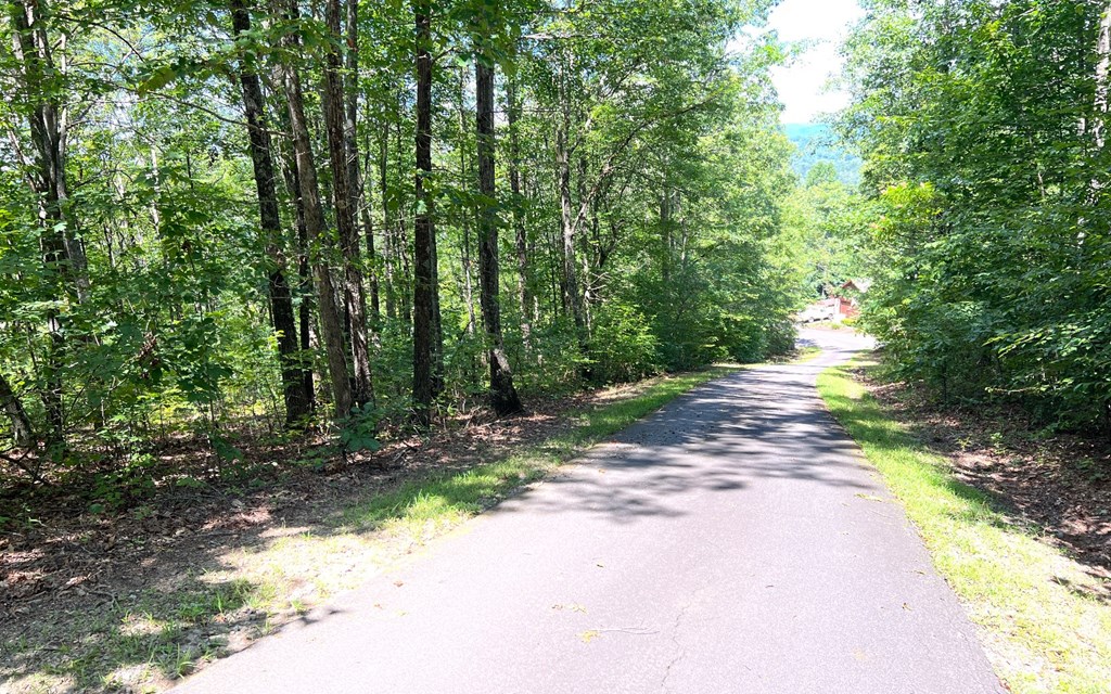 Lot 17A Trillium Heights #17A, HAYESVILLE, North Carolina image 4