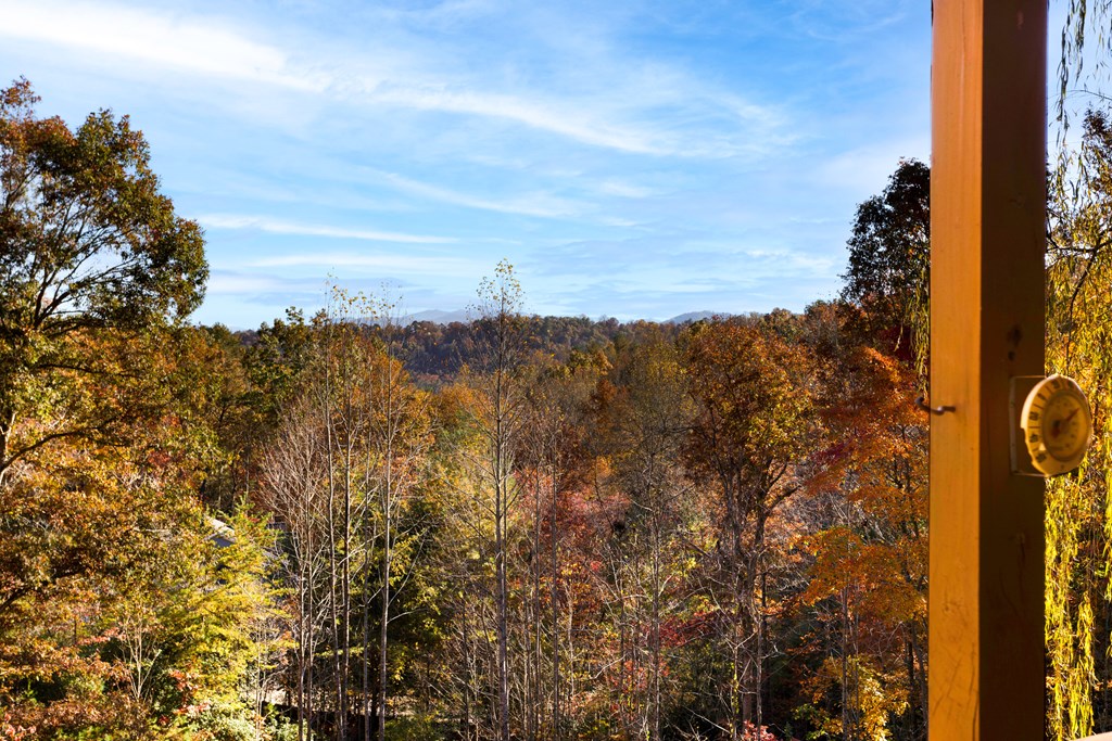 220 Lazy Canyon Lane, HAYESVILLE, North Carolina image 7