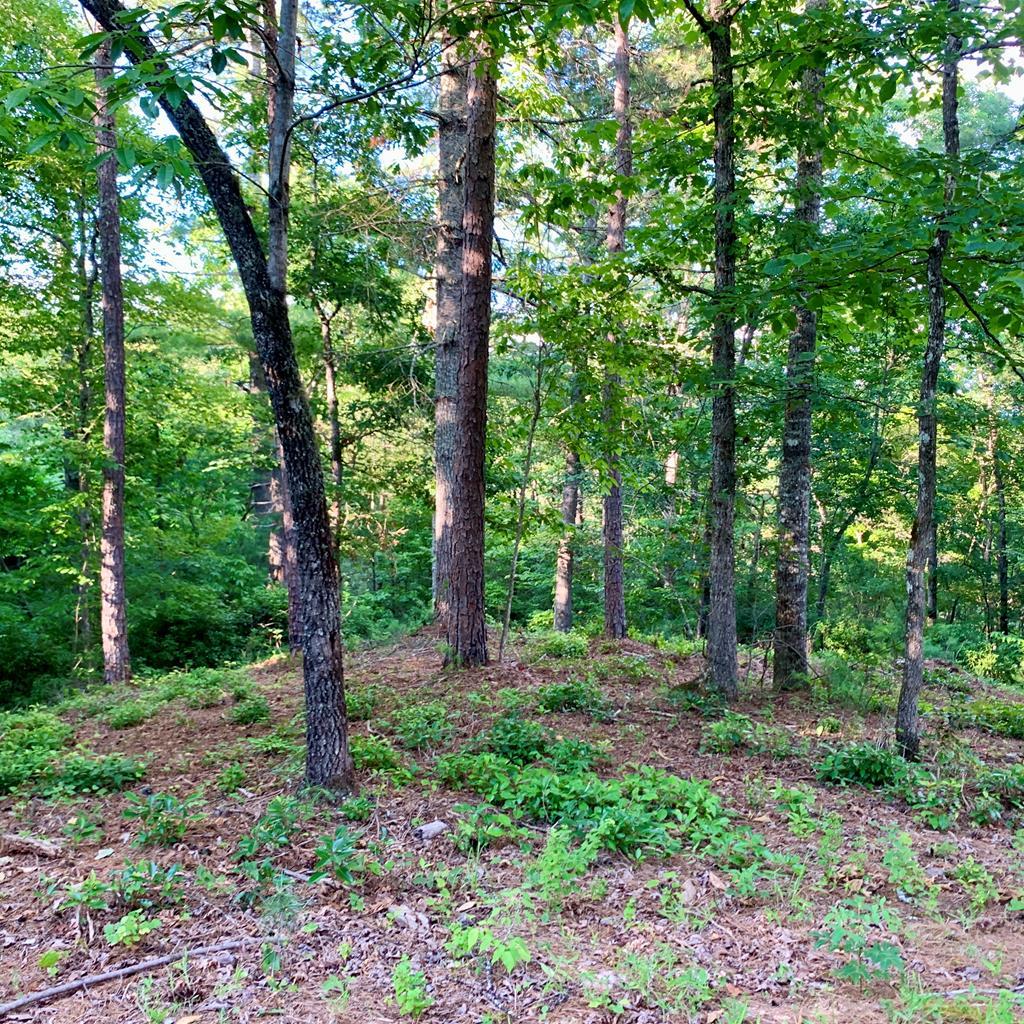 Lot 27 Solo View #27, WARNE, North Carolina image 1