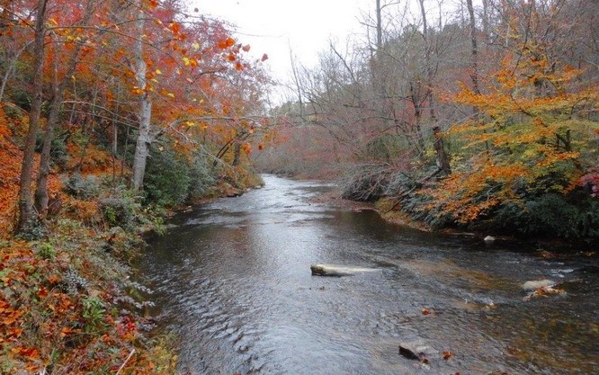 Lot 27 Solo View #27, WARNE, North Carolina image 27