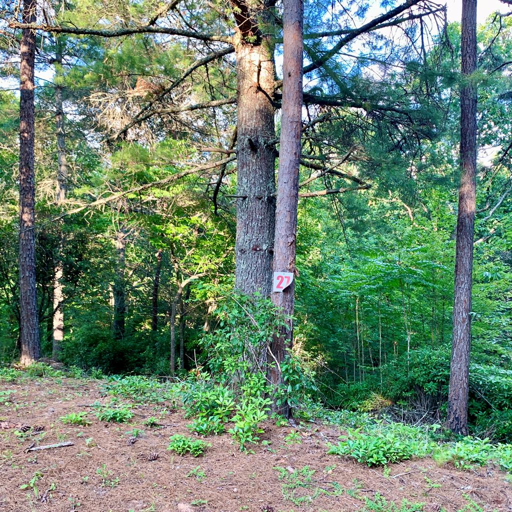 Lot 27 Solo View #27, WARNE, North Carolina image 9