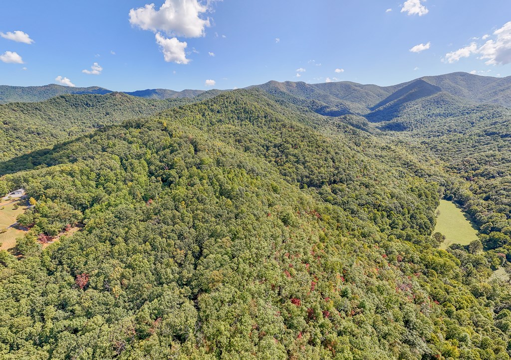 Multiple Skyview Dr, HAYESVILLE, North Carolina image 3