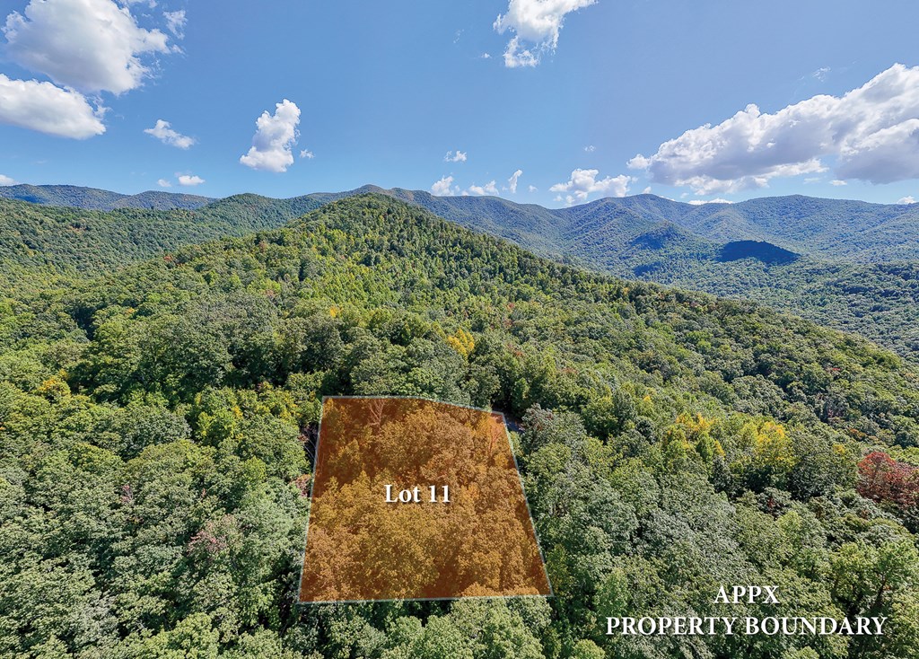 Multiple Skyview Dr, HAYESVILLE, North Carolina image 23