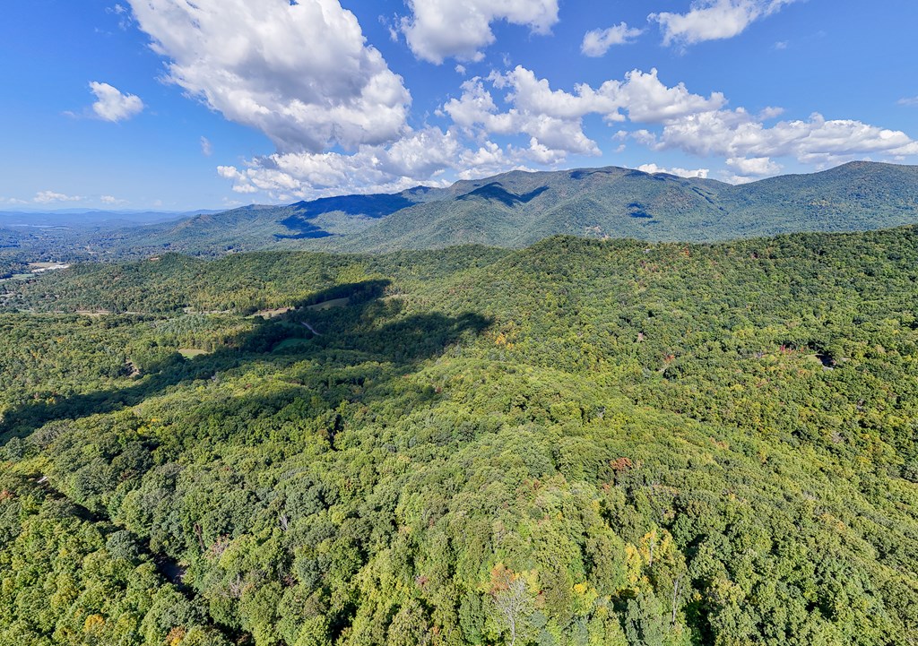 Multiple Skyview Dr, HAYESVILLE, North Carolina image 12