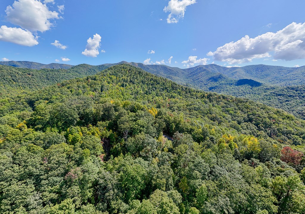 Multiple Skyview Dr, HAYESVILLE, North Carolina image 13