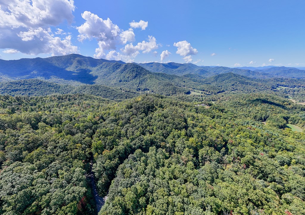 Multiple Skyview Dr, HAYESVILLE, North Carolina image 9