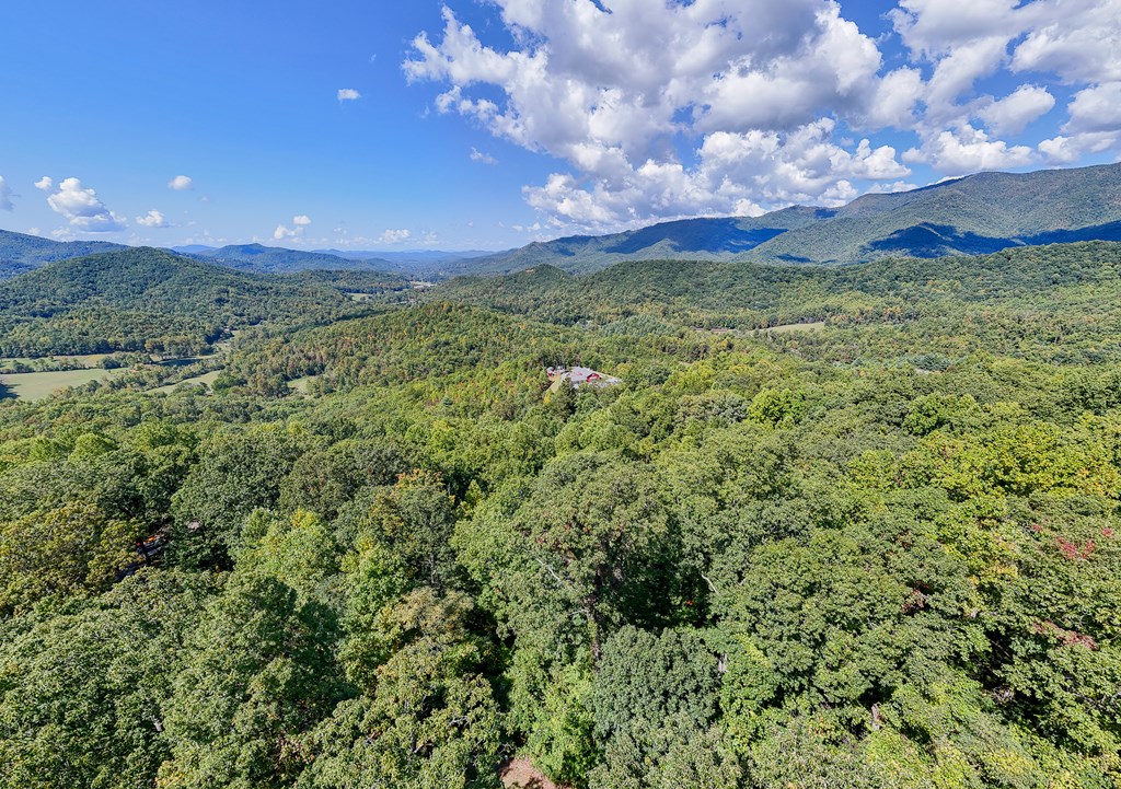 Multiple Skyview Dr, HAYESVILLE, North Carolina image 15