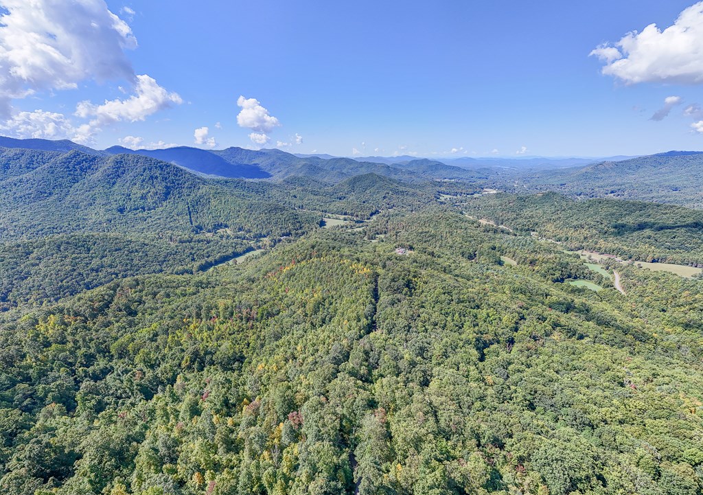 Multiple Skyview Dr, HAYESVILLE, North Carolina image 8