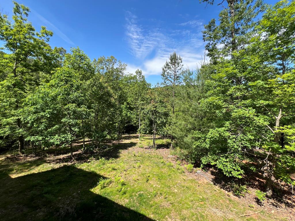 85 Hideaway Ridge Drive, MURPHY, North Carolina image 32