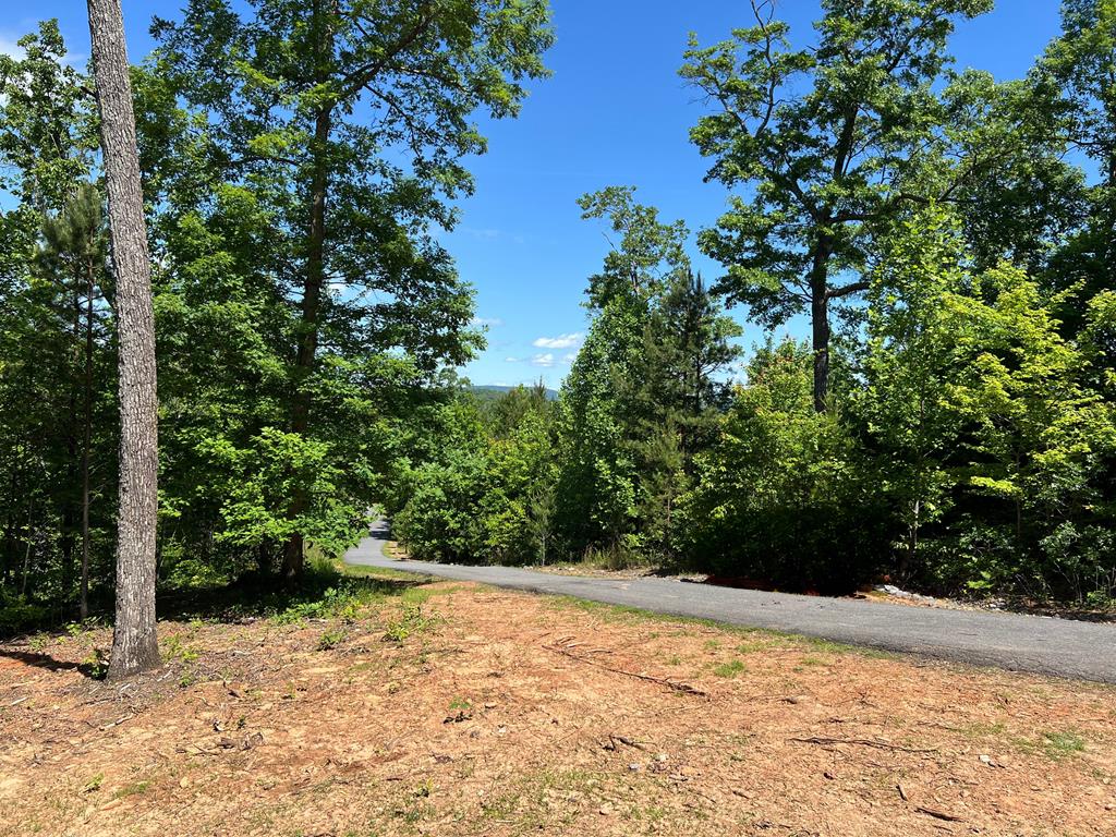 85 Hideaway Ridge Drive, MURPHY, North Carolina image 33