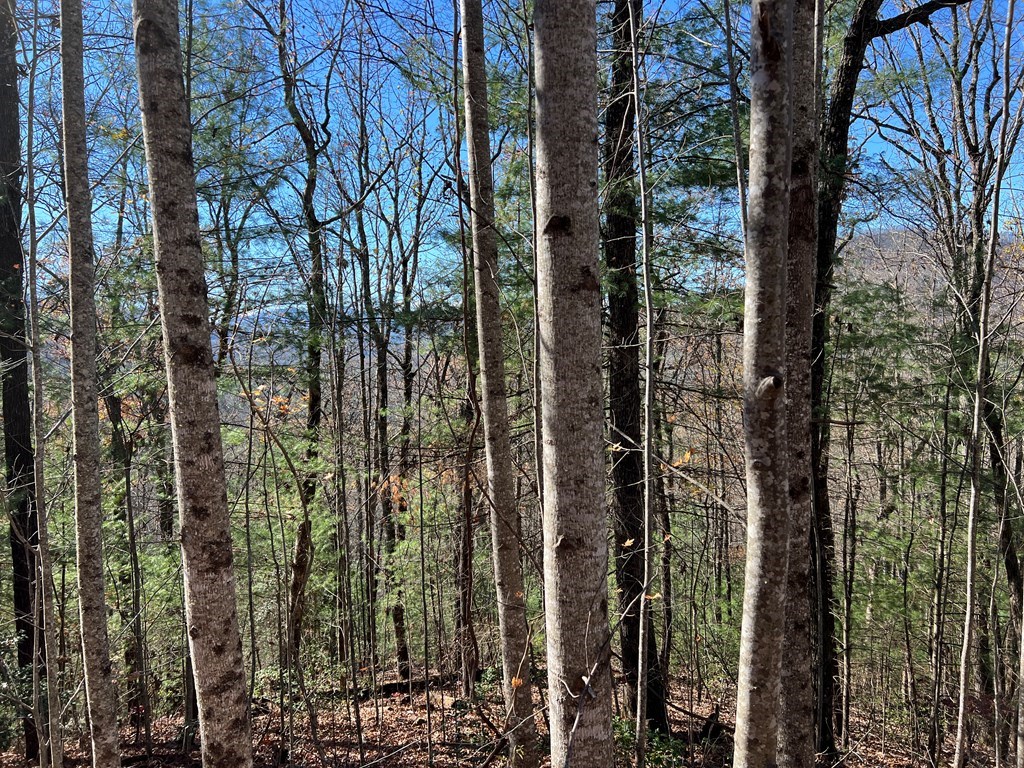 406 Barefoot Rise #38, HIAWASSEE, Georgia image 11