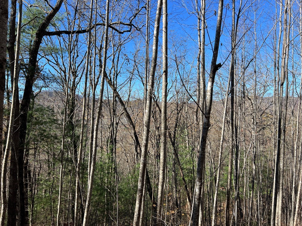 406 Barefoot Rise #38, HIAWASSEE, Georgia image 10