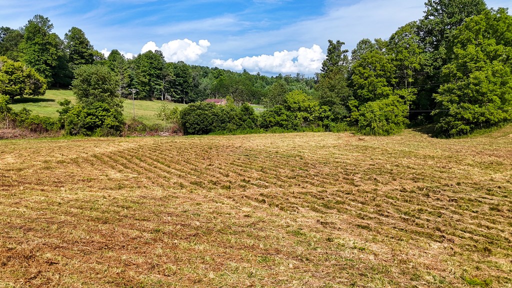 85 Mcmillan Rd, MURPHY, North Carolina image 8