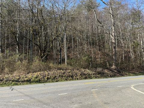 Vacant Land For Sale - 00 Highway 141<br/> MARBLE, NC 28905
