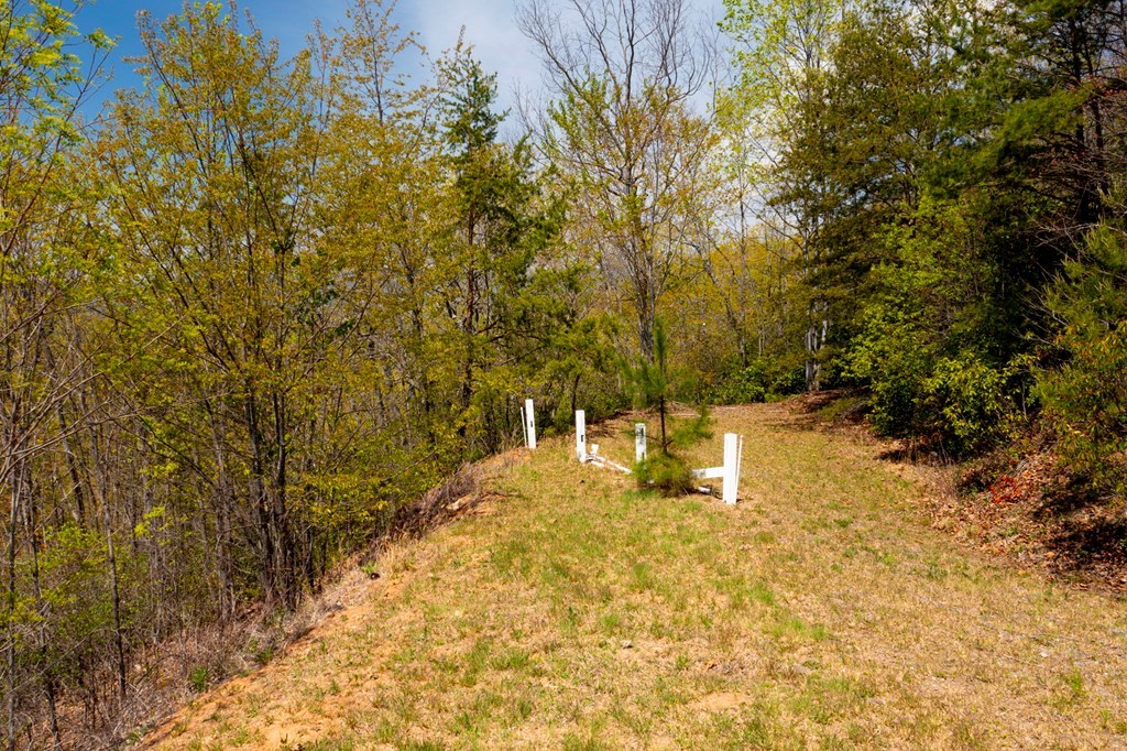 Lot 34 Bell Meadows #34, HIAWASSEE, Georgia image 6