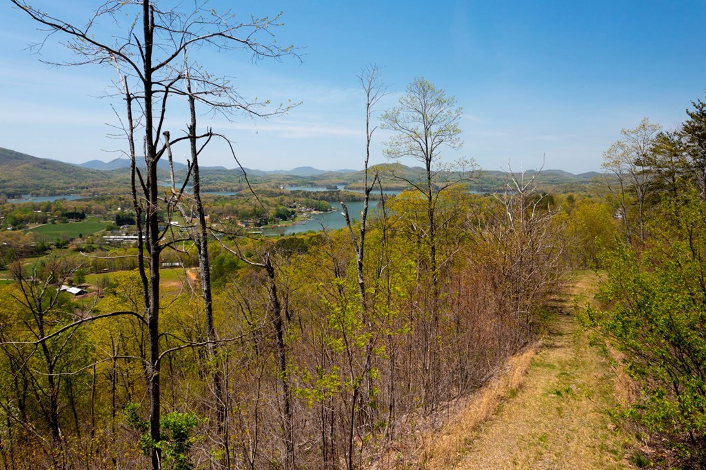 Lot 34 Bell Meadows #34, HIAWASSEE, Georgia image 8