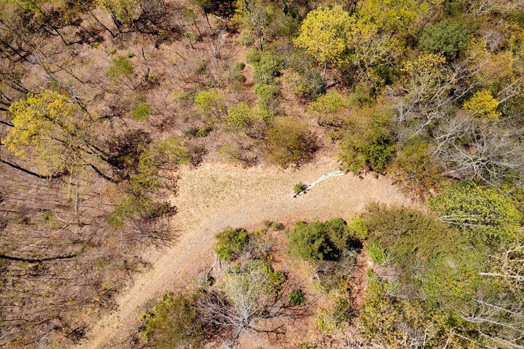 Lot 34 Bell Meadows #34, HIAWASSEE, Georgia image 9