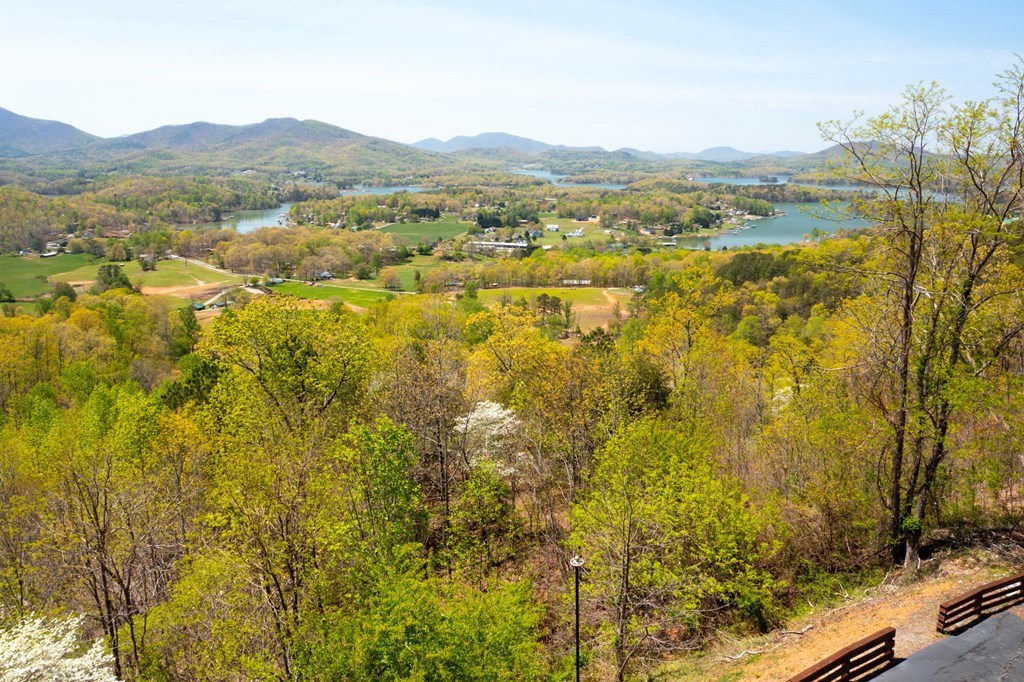 Lot 34 Bell Meadows #34, HIAWASSEE, Georgia image 10