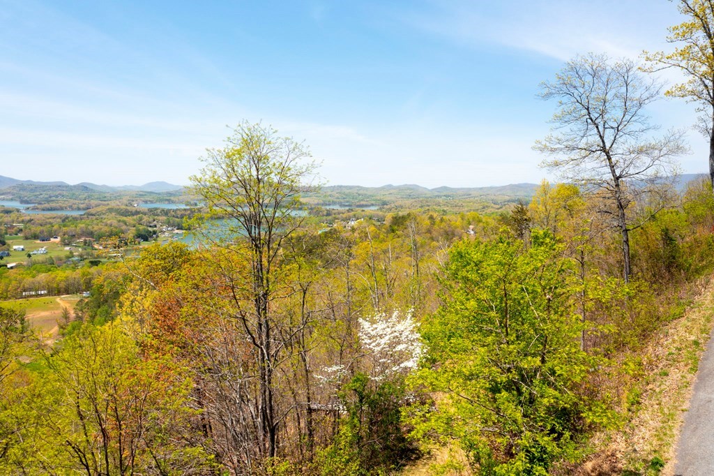 Lot 34 Bell Meadows #34, HIAWASSEE, Georgia image 12