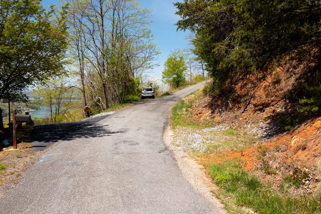 Lot 34 Bell Meadows #34, HIAWASSEE, Georgia image 13