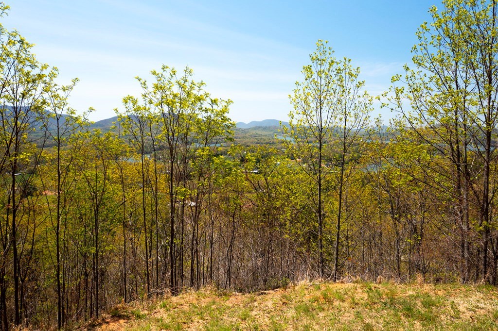 Lot 34 Bell Meadows #34, HIAWASSEE, Georgia image 2