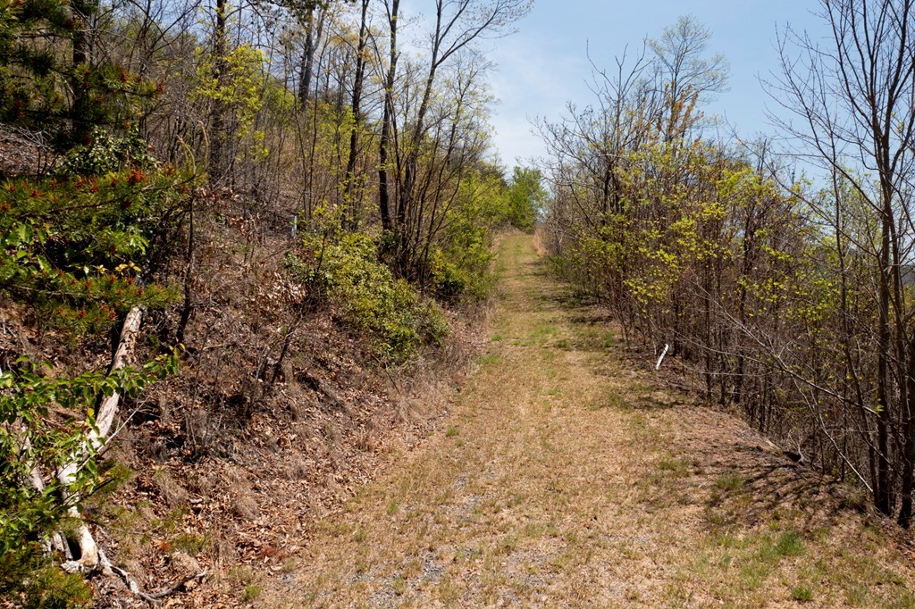 Lot 34 Bell Meadows #34, HIAWASSEE, Georgia image 4