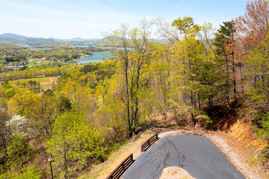 Lot 34 Bell Meadows #34, HIAWASSEE, Georgia image 11