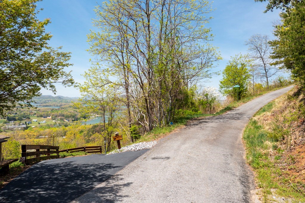 Lot 34 Bell Meadows #34, HIAWASSEE, Georgia image 3