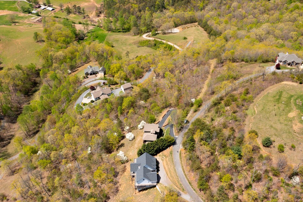 Lot 34 Bell Meadows #34, HIAWASSEE, Georgia image 17