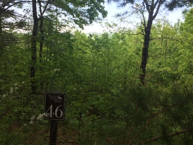 46 Silo View #46, MURPHY, North Carolina image 3