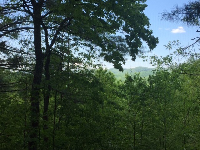 46 Silo View #46, MURPHY, North Carolina image 4