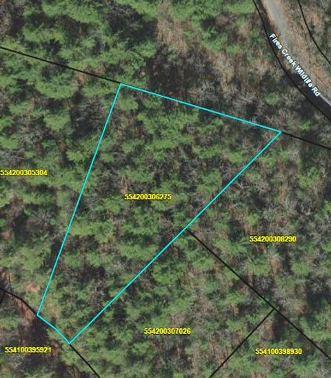 Vacant Land For Sale - TBD Spectacular Blvd #11<br/> HAYESVILLE, NC 28904