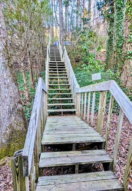 344 Thunderbird Trail, ROBBINSVILLE, North Carolina image 17