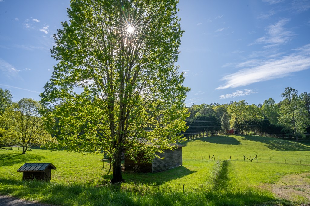 564 Wright Road, MURPHY, New York image 30