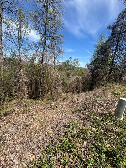Vacant Land For Sale - 200 Carolina Fox Cir #35<br/> MURPHY, NC 28906