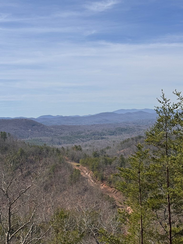 Lt 35 Crested Eagle #35, MURPHY, North Carolina image 3