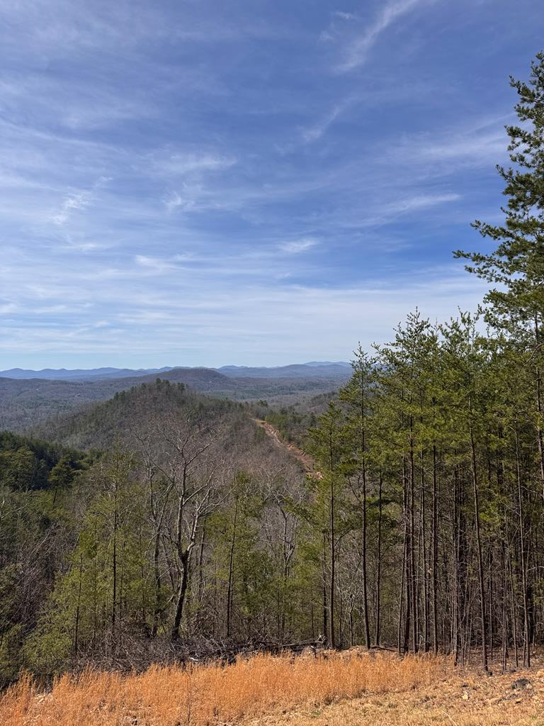Lt 35 Crested Eagle #35, MURPHY, North Carolina image 1