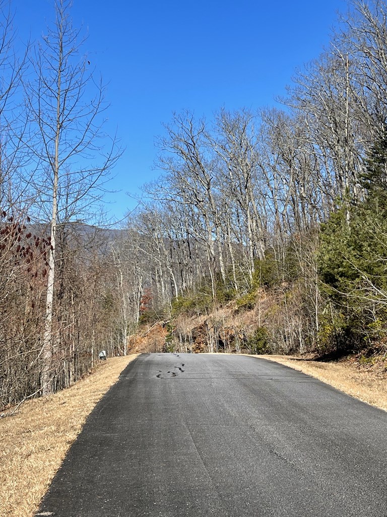 Lot 29J Ash Branch Rd, #29J, HAYESVILLE, North Carolina image 4