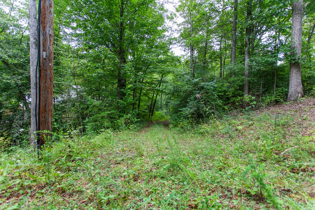 Lot 8-10 Castlewood, ROBBINSVILLE, North Carolina image 6