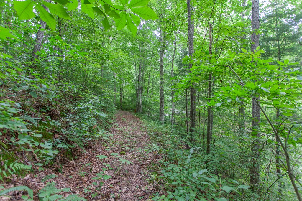 Lot 8-10 Castlewood, ROBBINSVILLE, North Carolina image 10