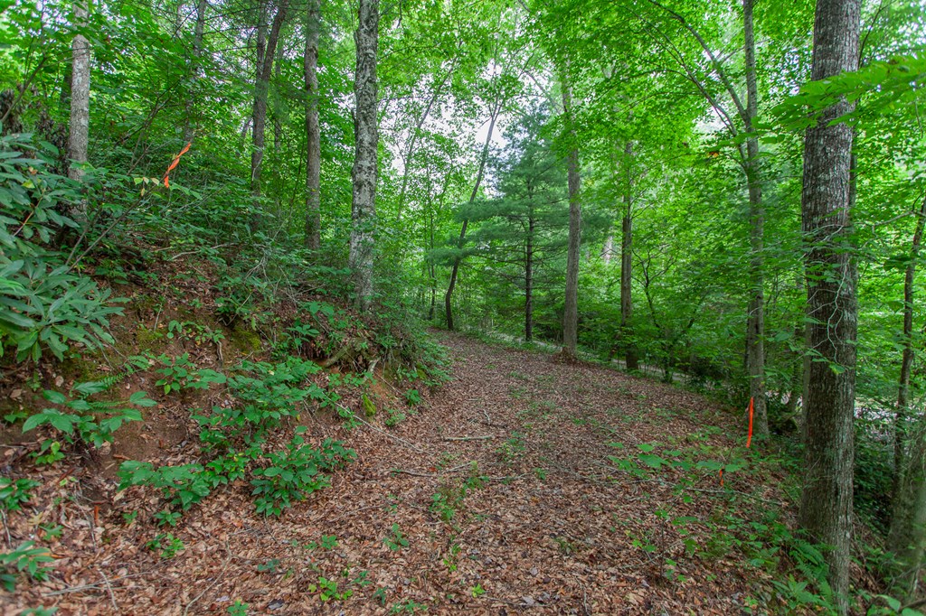 Lot 8-10 Castlewood, ROBBINSVILLE, North Carolina image 9