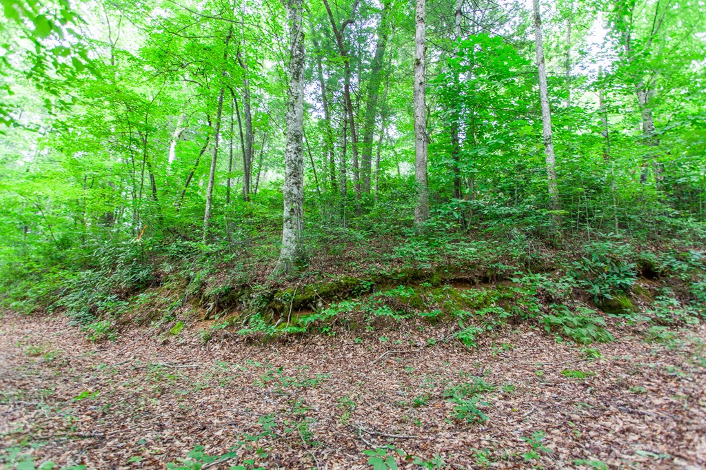 Lot 8-10 Castlewood, ROBBINSVILLE, North Carolina image 13