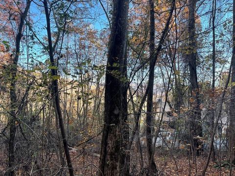 Vacant Land For Sale - LOT 51J Indian Trail #51J<br/> HAYESVILLE, NC 28904