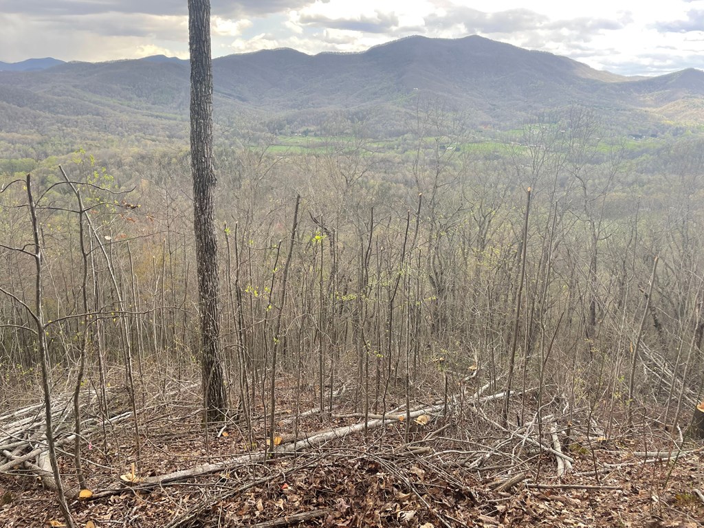 Broken Arrow Trail, HAYESVILLE, North Carolina image 4